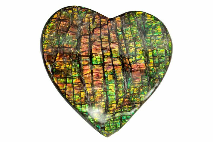 Flashy Ammolite (Fossil Ammonite Shell) Heart - Greens & Oranges #378473